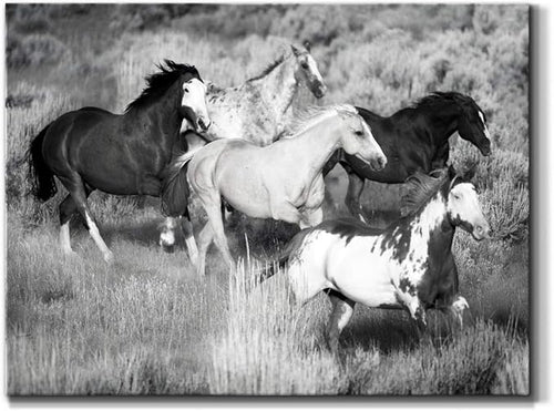 Renditions Gallery Canvas Animal Wall Art Modern Decorations Paintings Running Vintage Horses Black & White Nature Wall Hanging Artwork Prints for Bedroom Office Kitchen - 12"x18" LT33